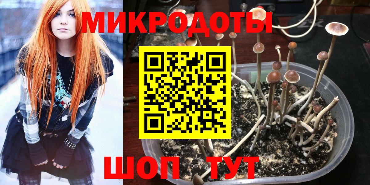 Галлюциногенные грибы MAGIC MUSHROOMS Торжок