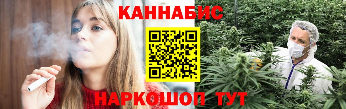 Шишки марихуана планчик  Вход с VPN  Торжок  МАРИХУАНА планчик  Марихуана Amnesia 